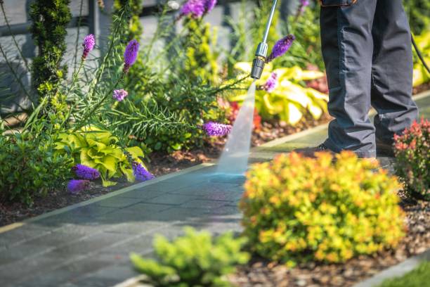 Alexandria, MN Pressure Washing Services Company