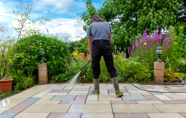 Best Brick and Stone Cleaning in Alexandria, MN